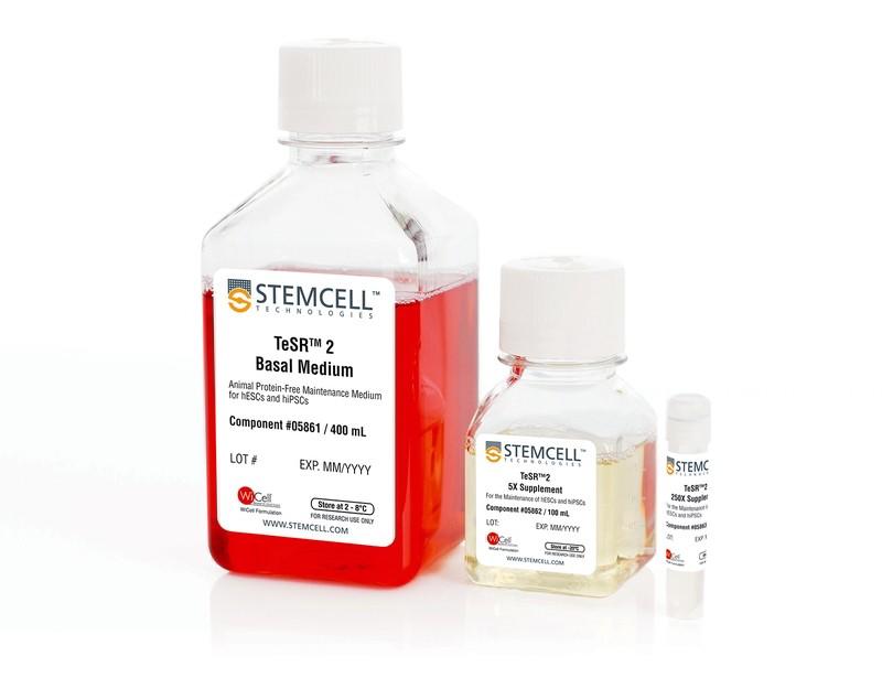 メディカセル MedicaCell　HASS 2本セット！ mTeSR Plus Maintenance Set | 製品情報 | ベリタス